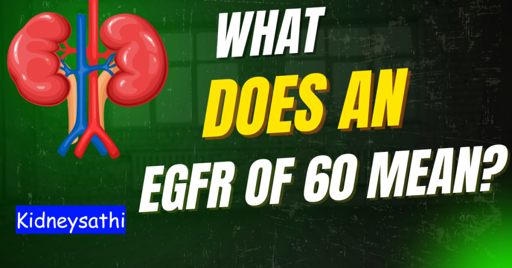 What Does an eGFR of 60 Mean